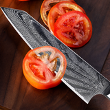 VEYUNA 8-Inch Chef Knife - VG10 67-Layer Damascus Steel, G10 Handle, Food Prep