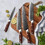 VEYUNA Damascus Knife Set – 4-Piece High-Carbon Steel Food Prep Knives