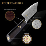 VEYUNA Bunka Knife – 5" Japanese Food Prep Knife, High-Carbon Steel & Ergonomic Handle