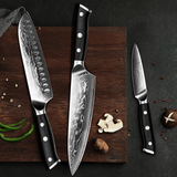 VEYUNA Damascus Food Knife Set, 3-Piece 67-Layer Steel, Ultra-Sharp G10 Handles