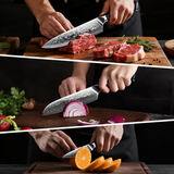 VEYUNA Damascus Food Knife Set, 3-Piece 67-Layer Steel, Ultra-Sharp G10 Handles